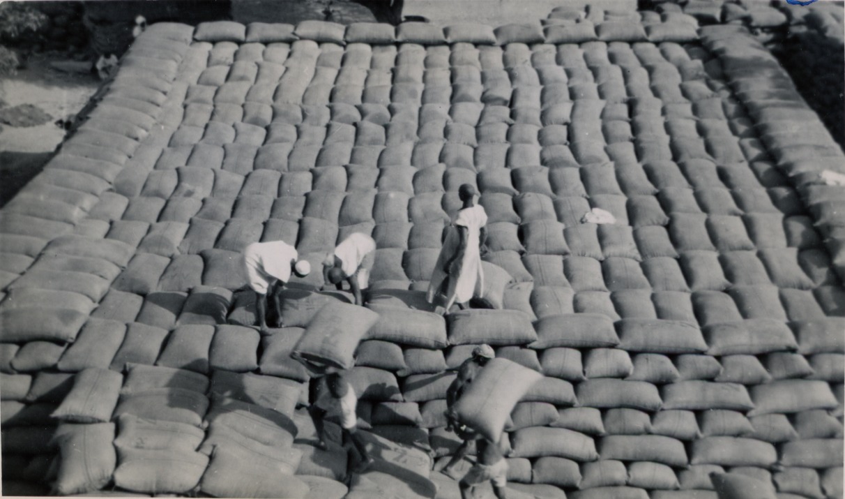 Seen from above, four men work on the sloping face of a part-built groundnut pyramid made of thousands of filled sacks. Two carry sacks up the slope, two lay them in place. The stack fills the frame.