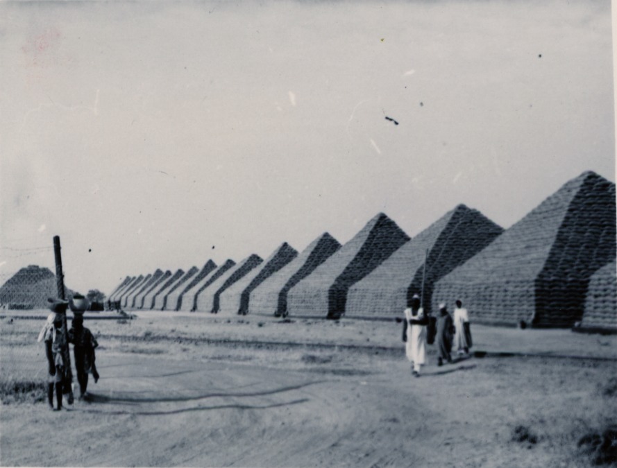 A long line of completed groundnut pyramids receding into the distance beside a dirt track at Kano. Each is a stack of filled sacks several storeys high. A few people walk past in the foreground, two of them carrying loads.